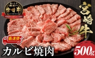 【最速便】宮崎牛カルビ焼肉用500g_M243-004-Z