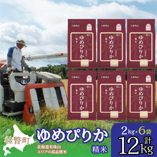 【新米】【令和7年産】（精米12kg）ホクレンゆめぴりか（精米2kg×6袋） SBTD032 1318363 - 北海道壮瞥町