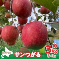 ＜2024年9月下旬～10月中旬頃までのお届け＞ 北海道壮瞥町 りんご 品種名「サンつがる」8～11玉約3kg  SBTF001