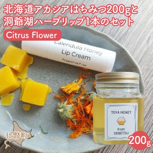 ≪2024年7月上旬よりお届け≫北海道アカシアはちみつ200gと洞爺湖ハーブリップ1本（Citrus Flower）のセット SBTX006-2 1318415 - 北海道壮瞥町