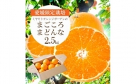 愛媛限定栽培柑橘 紅まどんなと同品種 まどんな(愛媛果試28号)2.5kg＜C25-128＞【1166249】