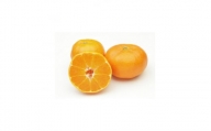 柑橘の鬼たちがつくる八幡浜産・甘平(2.7kg～3.0kg)＜訳あり＞＜D56-49＞【1486185】