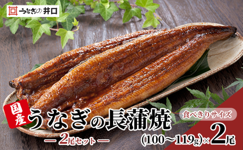 【※2025年1月15日以降順次発送】【食べきりサイズ】ITI優秀味覚賞受賞】長蒲焼2尾セット【配送不可：離島】 1318672 - 静岡県浜松市