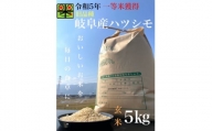 令和5年産　ハツシモ(旧品種)　5kg　玄米【1459559】