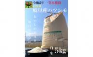 令和5年産　ハツシモ(旧品種)　5kg　白米【1460021】
