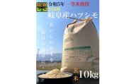 令和5年産　ハツシモ(旧品種)　10kg　玄米【1460330】