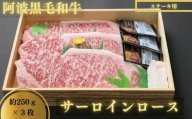 ステーキ 750g 250g × 3枚 冷蔵 サーロイン 国産 黒毛和牛 阿波牛 和牛 牛肉 グルメ 鉄板 ギフト