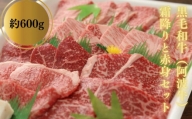 焼き肉 約 600g 冷凍 国産 徳島県 黒毛和牛 阿波牛 和牛 牛肉 セット 赤身 バーベキュー BBQ