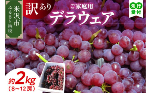 【先行予約】【数量限定】【令和8年産】家庭用 訳あり ぶどう デラウェア 2kg ( 8～12房 ) 2026年8月20日～9月20日頃お届け予定