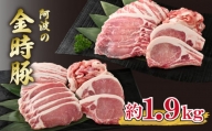 金時豚 豚肉 4種 切り落とし 約 2kg 小分け 国産 ブランド豚 冷凍 とんかつ 焼肉 ロース バラ セット 徳島県 阿波市