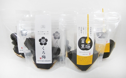 とてもすっぱい、熟成無塩の「くろ梅」とハチミツを加えた「蜜黒梅」の計5袋セット 132186 - 福井県若狭町