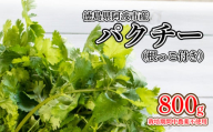 パクチー 根付き 800g 野菜 薬味 香辛料 香菜 香草 香味野菜 ハーブ コリアンダー シャンツァイ サラダ 炒め物 スープ ソース 麺類 パスタ ラーメン 油そば 薬味 デトックス エスニック タイ料理 阿波市産 徳島県