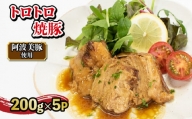 豚肉 焼き豚 焼豚 小分け 5パック 国産 簡単調理 惣菜 阿波美豚 リーベフラウ