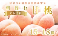 【 先行予約 】 桃 もも 甘桃 15～18個 《6月下旬～発送》 果物 フルーツ 朝採れ 糖度 15 以上 徳島県 阿波市