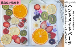 花サロン・ローズ＆マリーが四季折々の自然のお花やフルーツ、野菜をひとつひとつ丁寧に乾燥させています。ハンドメイドパーツ（押し花＆押しフルーツタイプと押しフルーツ＆押しベジタブルタイプ）2種セットを真空