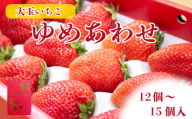 [ 先行予約 ]いちご やよいひめ かおりの 12〜15個 化粧箱入 大粒 果物 フルーツ やよい姫 かおり野 贈答品 プレゼント ゆめあわせ 農家直送 徳島県 阿波市