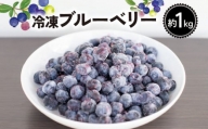 ブルーベリー 冷凍 1kg フルーツ クール便 甘い 大粒 果肉 果実 美容 健康 徳島 阿波市 四国