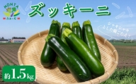 野菜 夏野菜 ズッキーニ  約 1.5kg 朝どれ 産地直送 徳島県 阿波市