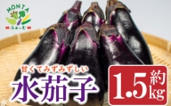 野菜 ナス なすび 水茄子 茄子 約 1.5kg 夏野菜 朝どれ 産地直送 徳島県 阿波市