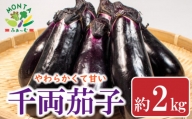 野菜 なすび ナス 千両茄子 約 2kg 朝どれ 夏野菜 産地直送 徳島県 阿波市