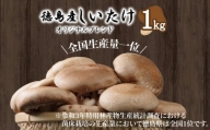 しいたけ 1kg 冷蔵 国産 徳島県 全国生産量1位 椎茸 しいたけ きのこ 肉厚 濃厚 家庭用 おかず