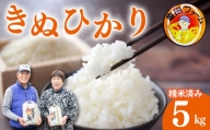お米 新米 きぬひかり 5kg  新米 令和6年度産 精米済 白米 卵かけご飯 おにぎり 美味しい おすすめ 徳島県 阿波市