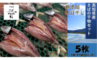 先行予約 さばの干物 ５枚セット 塩干し  鯖 サバ 個別包装 無添加 天日干し 高知県産 鮮魚 冷凍 真空 簡単調理 おかず 惣菜【R01163】