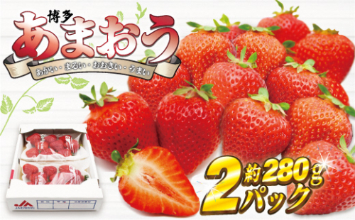 【2025年12月発送】博多あまおう2パック　約560g[G2260] 132474 - 福岡県福津市