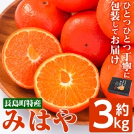 【先行予約】みはや(露地)約3kg みかん 【ながしまマンダリングループ】mandarin-2761