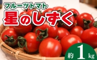 【星のしずく 1kg】《2024年11月上旬～順次出荷》 野菜 トマト 星のしずく 完熟 高濃度 糖度8以上 高級 スイーツ ギフト 贈答用 徳島県 阿波市 原田トマト