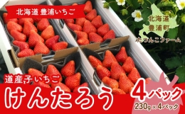 【ふるさと納税】北海道いちご けんたろう 230g×4パック 【ふるさと納税 人気 おすすめ ランキング 果物 いちご苺 イチゴ 国産いちご