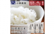 小柳農園の特別栽培米コシヒカリ6kg(2kg×3)【1204249】