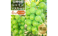 長野県中野市産ぶどう・シャインマスカット秀品4kg箱 6～10房入り【1494262】