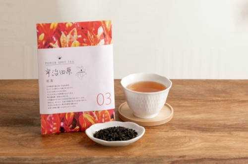 直茶発祥の地からお届け「宇治田原紅茶」50g×5袋〈お茶 茶 紅茶 茶葉 飲料 フルーティー 加工食品〉 132566 - 京都府宇治田原町