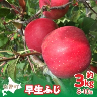 ＜2024年10月中旬よりお届け＞ 北海道壮瞥町 りんご 品種名「早生ふじ」8～10玉約3kg SBTF002