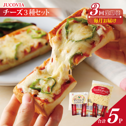 人気チーズ 定期便 3種セット×全3回 ムラカワチーズ【毎月配送 普段使い 高評価 ちーず】 099Z183 1325955 - 大阪府泉佐野市