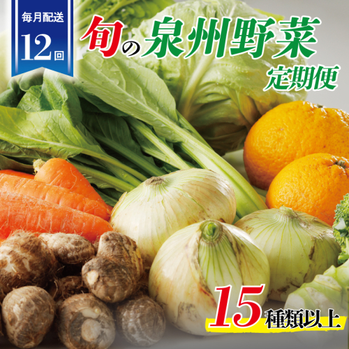 泉州野菜 定期便 15種類以上×全12回【毎月配送 国産 野菜 やさい 詰め合わせ セット 新鮮 旬 冷蔵発送 ええもん ていきびん】 099Z189 1325961 - 大阪府泉佐野市