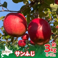 ＜2024年12月上旬よりお届け＞北海道壮瞥町　りんご　品種名「サンふじ」8～10玉約3kg  SBTF006