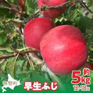 ＜2024年10月中旬よりお届け＞北海道壮瞥町　りんご　品種名「早生ふじ」12～18玉約5kg  SBTF009