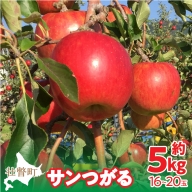 ＜2024年9月下旬～10月中旬頃までのお届け＞北海道壮瞥町　りんご　品種名「サンつがる」16～20玉約5kg  SBTF010