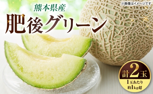 肥後グリーン 2玉 (1玉あたり約1kg超) メロン 果物 フルーツ 1326044 - 熊本県八代市