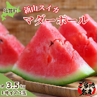 ＜2026年8月上旬よりお届け＞北海道壮瞥産　新山すいか 小玉すいか（マダーボール）Lサイズ2玉 スイカ SBTN002