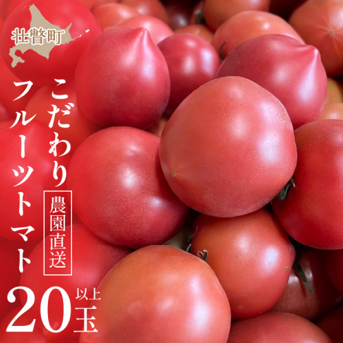 ＜2024年6月下旬よりお届け＞【農園直送】北海道壮瞥産 こだわりフルーツトマト　20玉以上  SBTO003 1326137 - 北海道壮瞥町