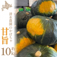 ＜2024年9月初旬よりお届け＞【農園直送】清水農園のかぼちゃ(甘旨）約10kg (4～6玉)  SBTO013
