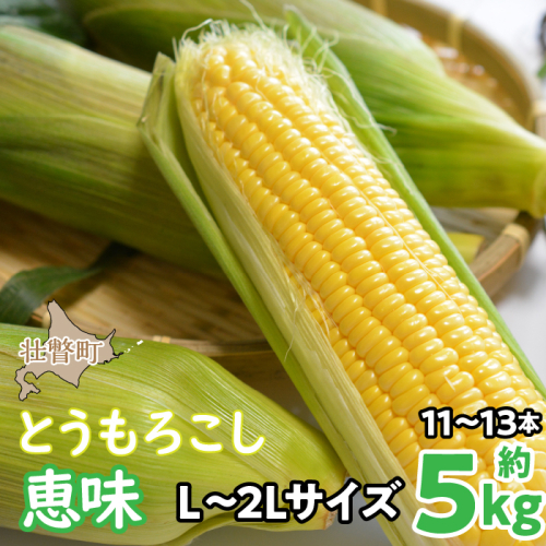 ＜2025年8月初旬よりお届け＞約5kg！北海道壮瞥産とうもろこし（恵味）【Ｌ～2Lサイズ 11～13本】 SBTP002 1326152 - 北海道壮瞥町