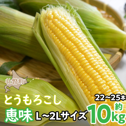 ＜2024年8月初旬よりお届け＞約10kg！北海道壮瞥産とうもろこし（恵味）【Ｌ～2Lサイズ 22～25本】  SBTP006 1326159 - 北海道壮瞥町