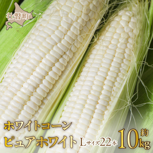 ＜2024年8月下旬よりお届け＞【朝採り】北海道壮瞥町　ホワイトコーン「ピュアホワイト」Lサイズ以上22本（約10kg） SBTQ002 1326211 - 北海道壮瞥町