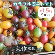 ＜2024年7月上旬よりお届け＞北海道壮瞥産 大作農園のカラフルミニトマト約1.5kg(5種以上)  SBTR002