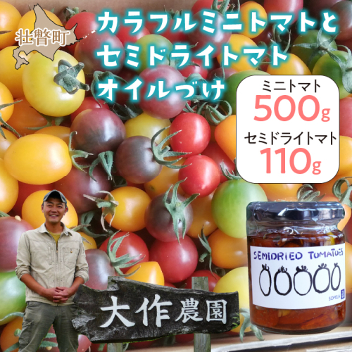 北海道壮瞥産 大作農園の「カラフルミニトマト」約500g（5種以上）とセミドライトマトオイル漬け1瓶（110g）のセット SBTR008 1326218 - 北海道壮瞥町