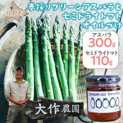 ＜2026年4月中旬よりお届け＞北海道壮瞥産 大作農園の「春採りグリーンアスパラM～LL混合」約300gとセミドライトマトオイル漬け1瓶（110g）のセット SBTR009 1326220 - 北海道壮瞥町